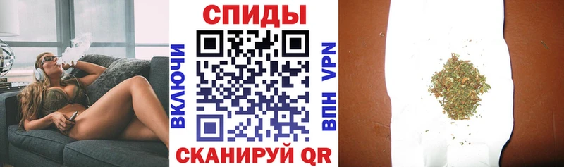 закладки  Чегем  БУТИРАТ 1.4BDO 