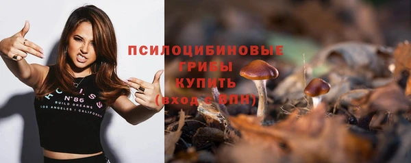 стафф Абинск