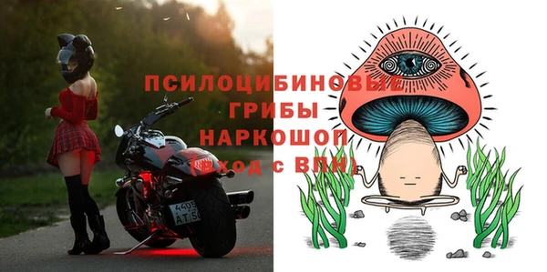СК Абдулино