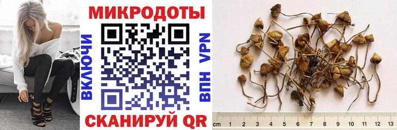 Галлюциногенные грибы мухоморы  hydra зеркало  Чегем  купить наркоту 